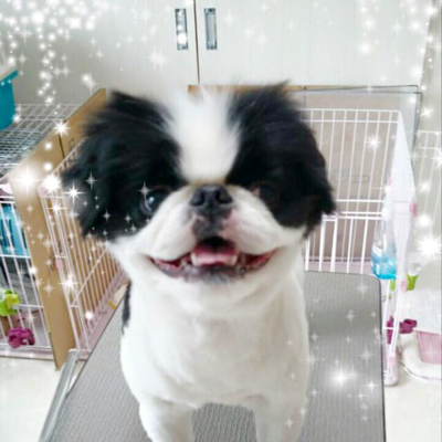 竹千代くん