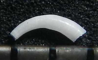 不明