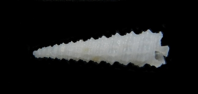 302-2  