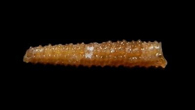 302-3  
