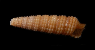 302-9  