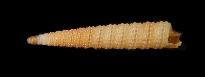 304-12  