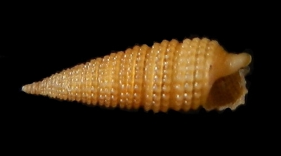 304-16