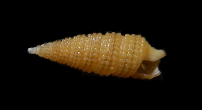 304-19