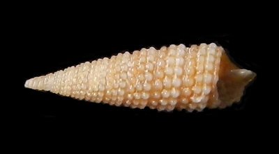 304-20  
