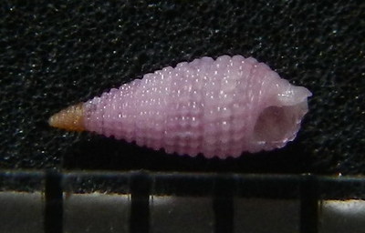 304-21  