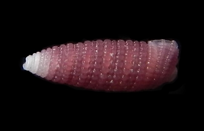 304-23  