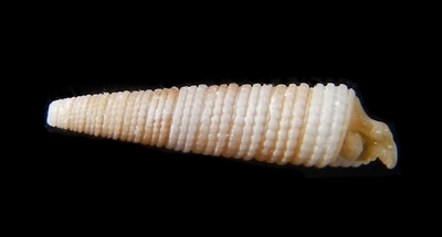 306-30