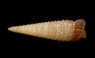 308-36  