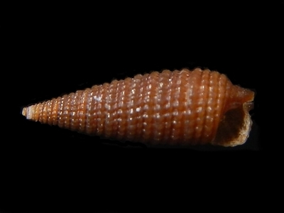 308-37