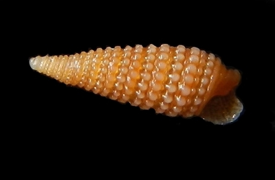 308-38  
