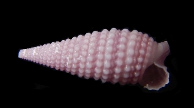 308-39 