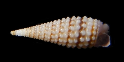308-40  