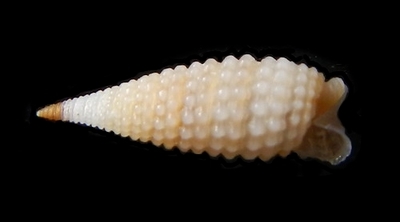 308-42  