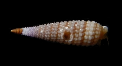 308-44 