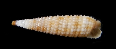 308-45 