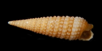 308-46  