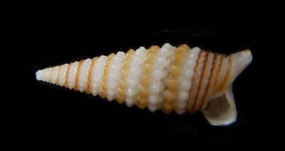 310-48 
