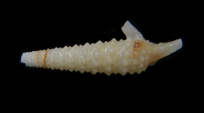 310-56  
