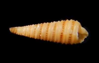 310-57  