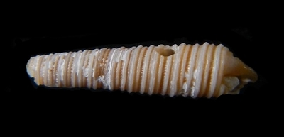 312-58  