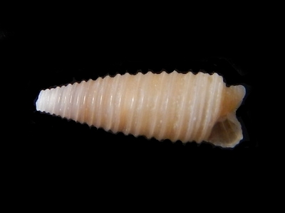 312-59  