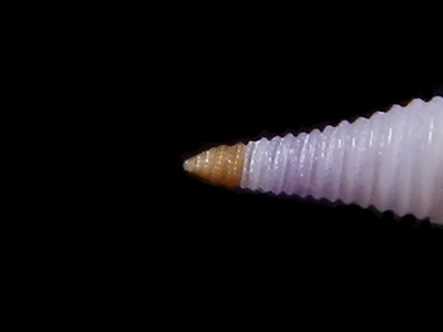 312-59