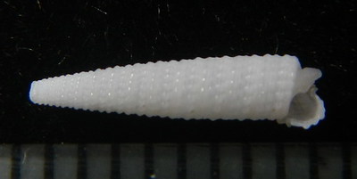 312-67