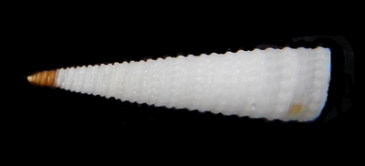 312-67