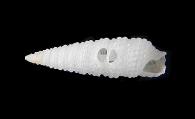 316-83