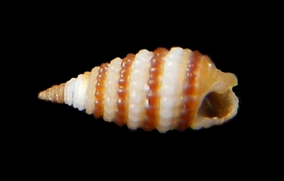 316-89