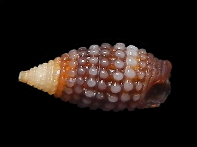 316-90