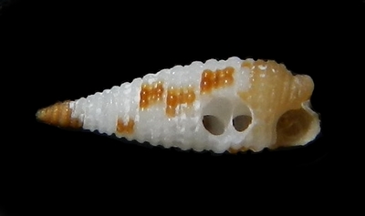 316-92