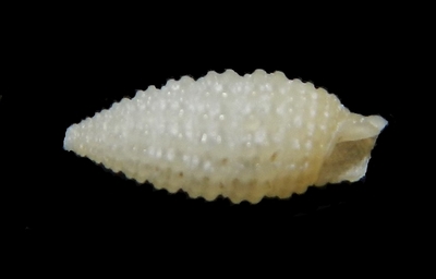 312-68  