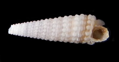 312-64