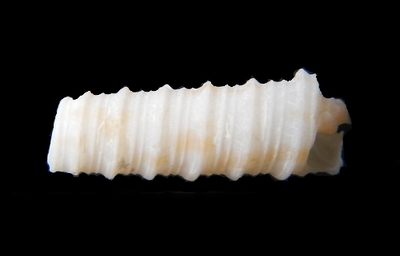 312-65