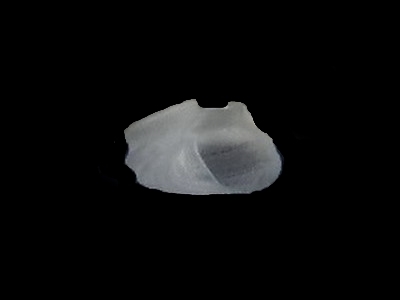 スカシエビスガイ