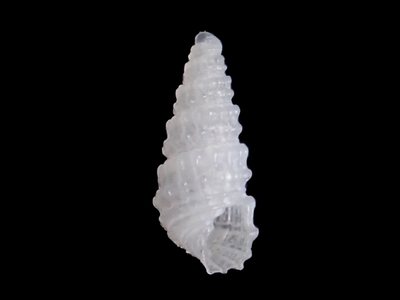 不明　6