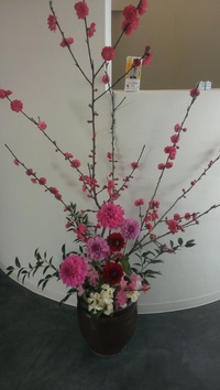 K's flower