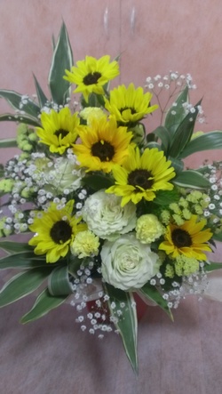 おんまく花火!