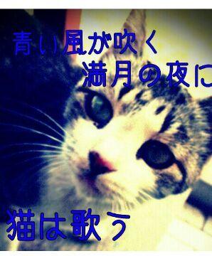 トップ画像画像