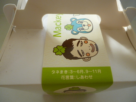ケーキ?
