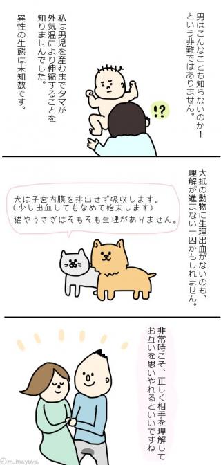 無題画像