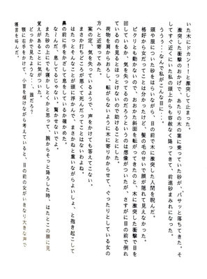 ﾄﾝﾄﾝちゃん小説第一章 ｢ﾄﾝﾄﾝvsｱﾘｼｬ!女の戦いっっ‼︎｣ﾍﾟｰｼﾞ11
