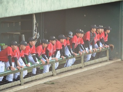 2016春季全国大会