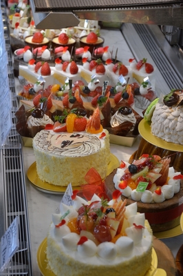 ショーケース②