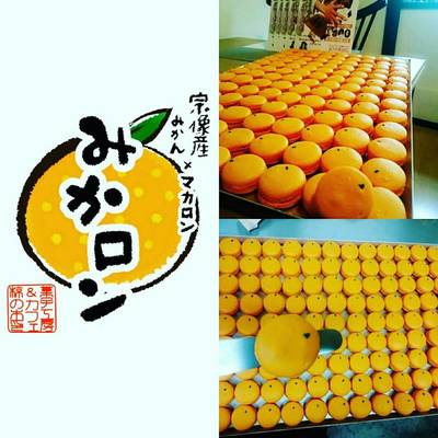 みかロン