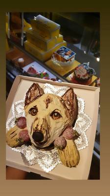犬ケーキ