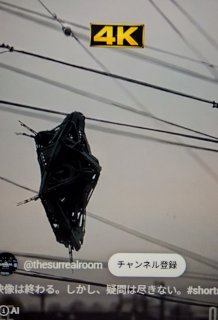 おっはー画像
