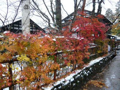 紅葉